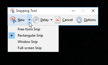 Steps on Taking Screenshots on Windows 
