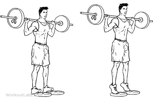 leg strength exercises