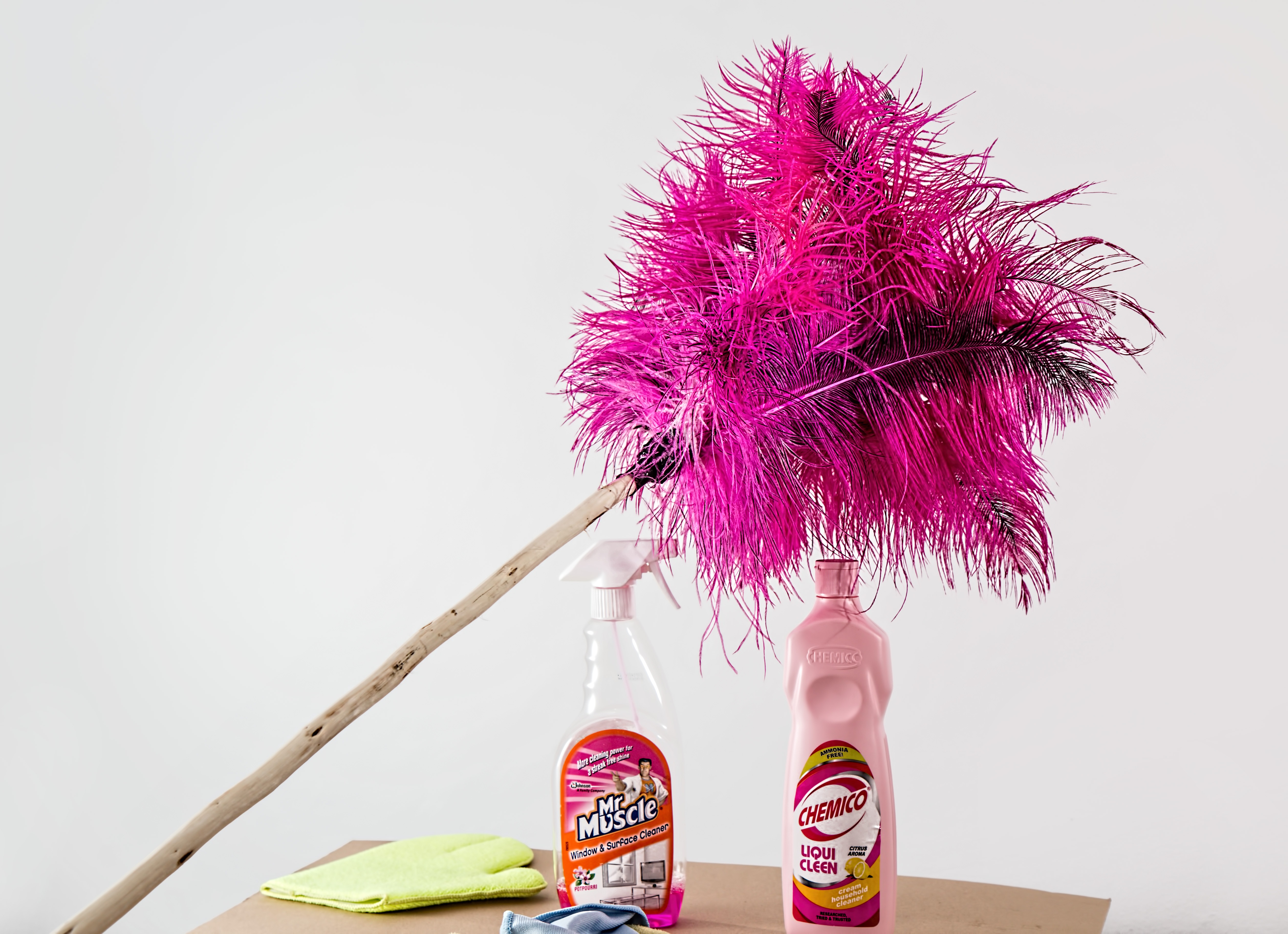 feather duster, cleaning, housework
